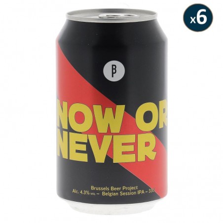 BRUSSELS BEER PROJECT NOW or NEVER 6*33CL CAN