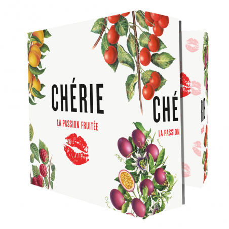 DISCOVERY BEER BOOK CHERIE 6 BOUTEILLES